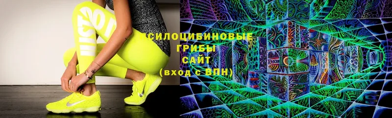 нарко площадка наркотические препараты  Муром  Псилоцибиновые грибы Cubensis 